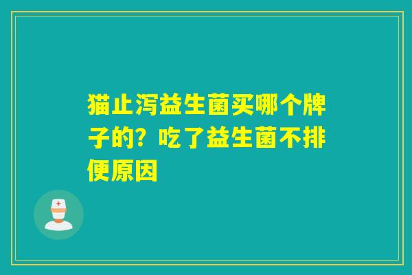 猫止泻益生菌买哪个牌子的？吃了益生菌不排便原因