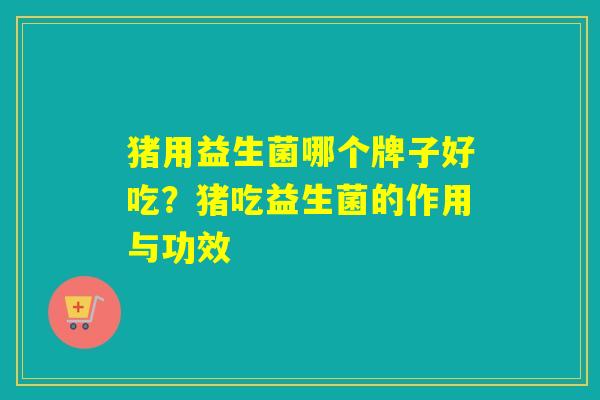 猪用益生菌哪个牌子好吃？猪吃益生菌的作用与功效