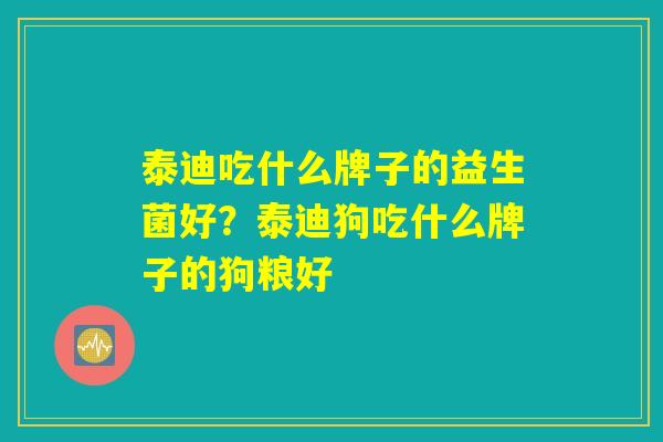 泰迪吃什么牌子的益生菌好？泰迪狗吃什么牌子的狗粮好