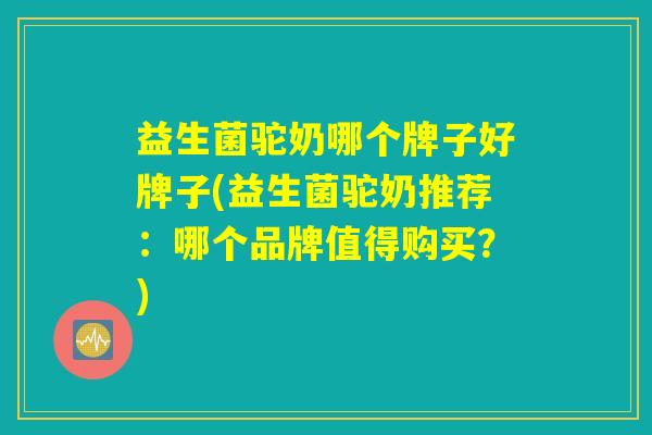 益生菌驼奶哪个牌子好牌子(益生菌驼奶推荐：哪个品牌值得购买？)