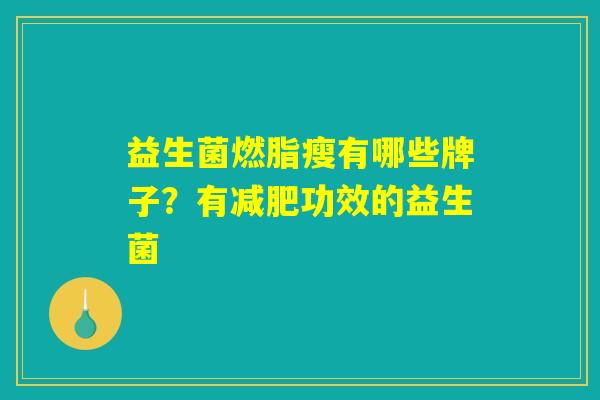 益生菌燃脂瘦有哪些牌子？有减肥功效的益生菌