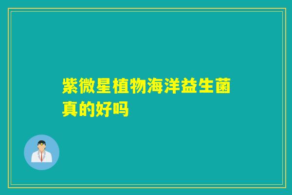 紫微星植物海洋益生菌真的好吗