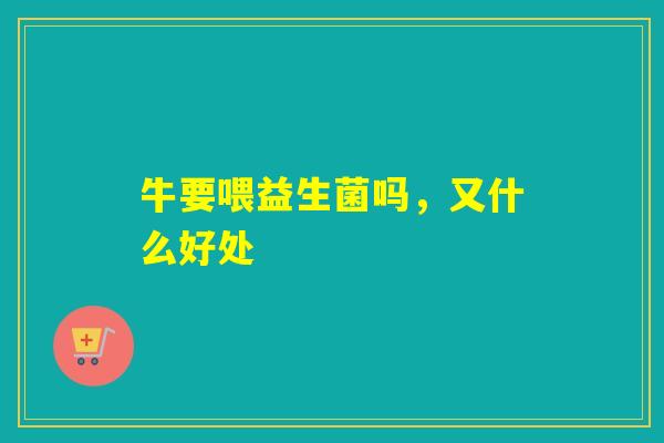 牛要喂益生菌吗，又什么好处