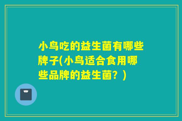 小鸟吃的益生菌有哪些牌子(小鸟适合食用哪些品牌的益生菌？)