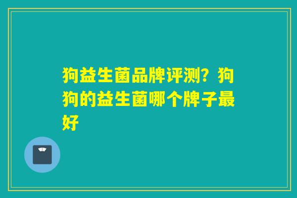 狗益生菌品牌评测？狗狗的益生菌哪个牌子最好