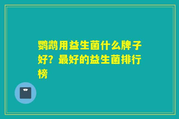 鹦鹉用益生菌什么牌子好？最好的益生菌排行榜