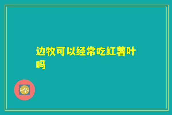 边牧可以经常吃红薯叶吗