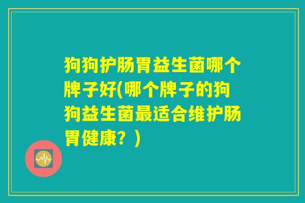 狗狗护肠胃益生菌哪个牌子好(哪个牌子的狗狗益生菌最适合维护肠胃健康？)