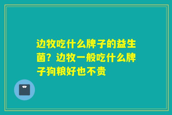 边牧吃什么牌子的益生菌？边牧一般吃什么牌子狗粮好也不贵