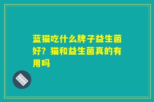 蓝猫吃什么牌子益生菌好？猫和益生菌真的有用吗