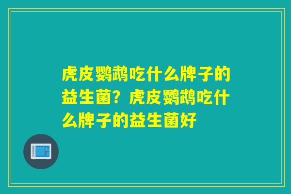虎皮鹦鹉吃什么牌子的益生菌？虎皮鹦鹉吃什么牌子的益生菌好