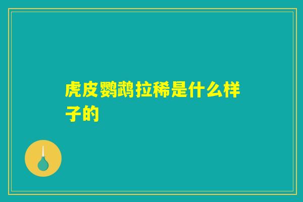 虎皮鹦鹉拉稀是什么样子的