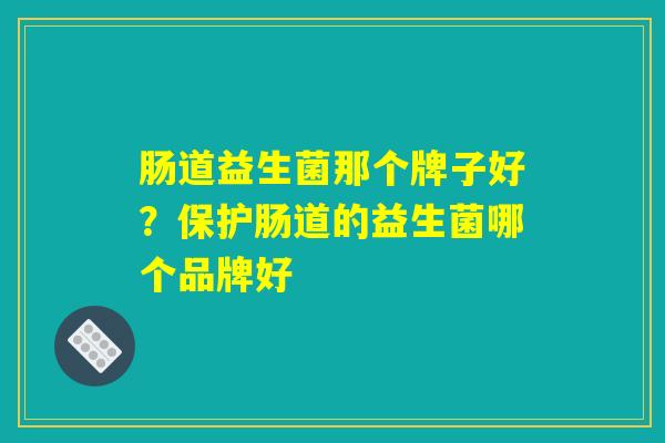 肠道益生菌那个牌子好？保护肠道的益生菌哪个品牌好
