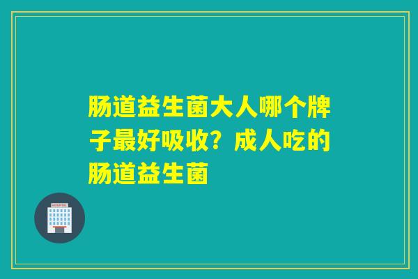 肠道益生菌大人哪个牌子最好吸收？成人吃的肠道益生菌