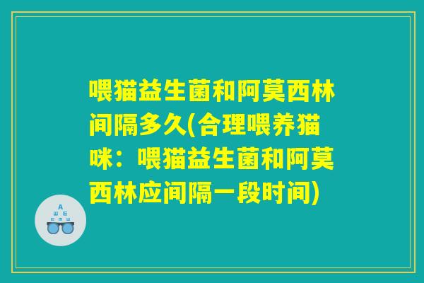 喂猫益生菌和阿莫西林间隔多久(合理喂养猫咪：喂猫益生菌和阿莫西林应间隔一段时间)