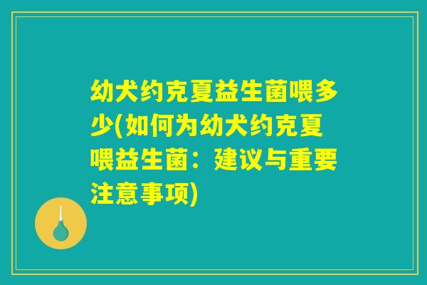 幼犬约克夏益生菌喂多少(如何为幼犬约克夏喂益生菌：建议与重要注意事项)