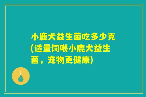 小鹿犬益生菌吃多少克(适量饲喂小鹿犬益生菌，宠物更健康)