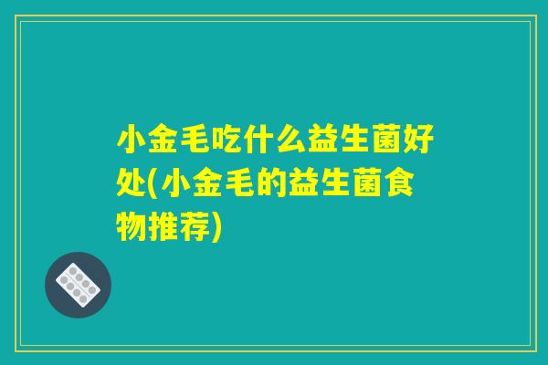 小金毛吃什么益生菌好处(小金毛的益生菌食物推荐)