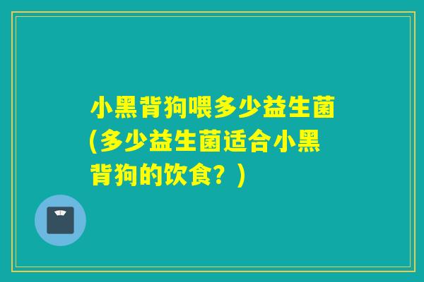小黑背狗喂多少益生菌(多少益生菌适合小黑背狗的饮食？)