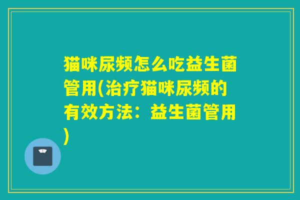 猫咪尿频怎么吃益生菌管用(猫咪尿频的有效方法:益生菌管用) 猫咪尿频怎么吃益生菌管用(猫咪尿频的有效方法:益生菌管用)