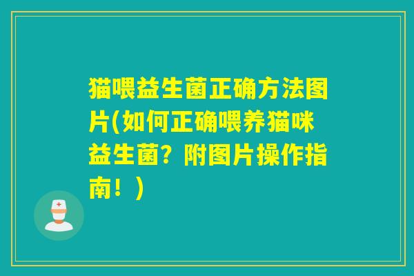 猫喂益生菌正确方法图片(如何正确喂养猫咪益生菌？附图片操作指南！)