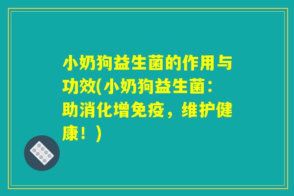 小奶狗益生菌的作用与功效(小奶狗益生菌：助消化增免疫，维护健康！)