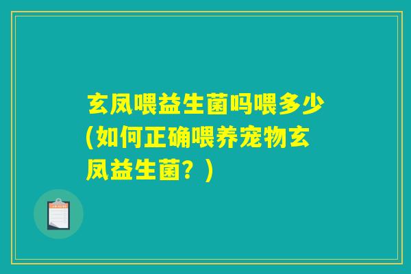 玄凤喂益生菌吗喂多少(如何正确喂养宠物玄凤益生菌？)