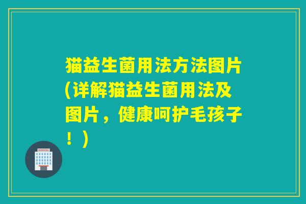 猫益生菌用法方法图片(详解猫益生菌用法及图片，健康呵护毛孩子！)