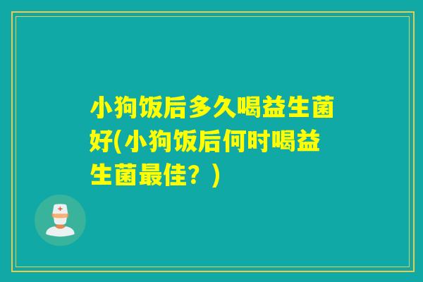 小狗饭后多久喝益生菌好(小狗饭后何时喝益生菌最佳？)