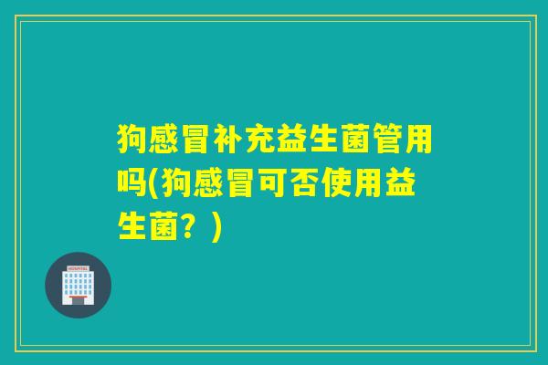 狗感冒补充益生菌管用吗(狗感冒可否使用益生菌？)
