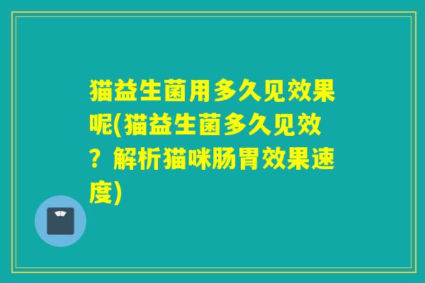 猫益生菌用多久见效果呢(猫益生菌多久见效？解析猫咪肠胃效果速度)