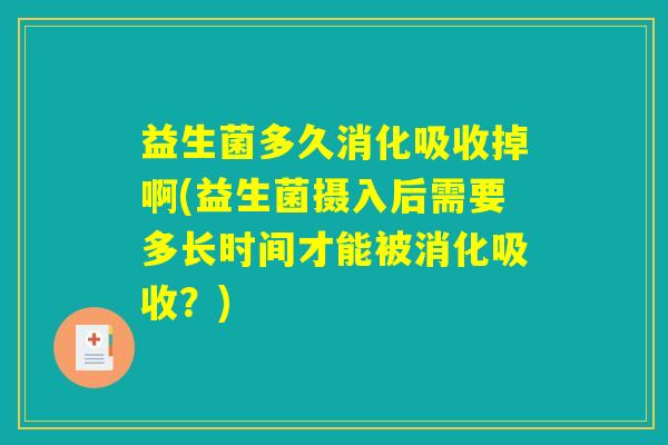 益生菌多久消化吸收掉啊(益生菌摄入后需要多长时间才能被消化吸收？)