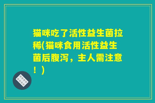 猫咪吃了活性益生菌拉稀(猫咪食用活性益生菌后腹泻，主人需注意！)
