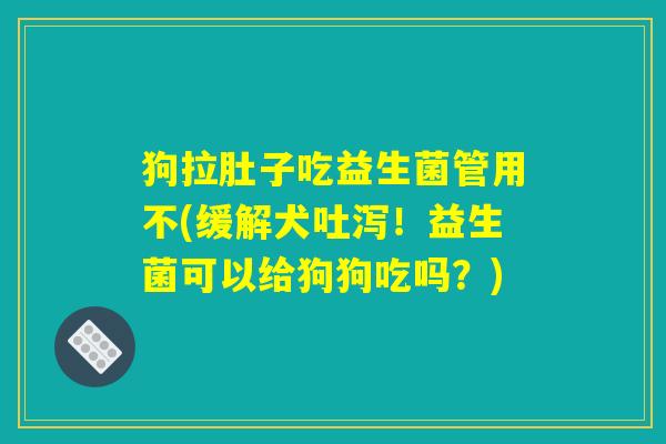 狗拉肚子吃益生菌管用不(缓解犬吐泻！益生菌可以给狗狗吃吗？)