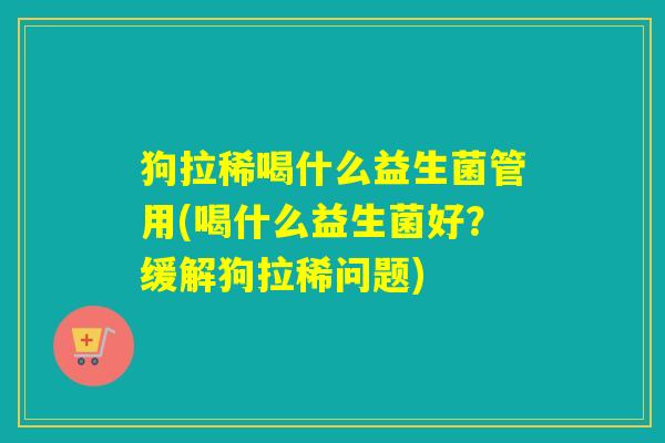 狗拉稀喝什么益生菌管用(喝什么益生菌好？缓解狗拉稀问题)