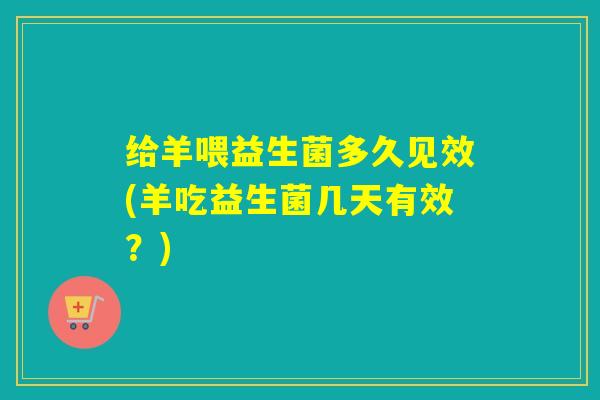 给羊喂益生菌多久见效(羊吃益生菌几天有效？)
