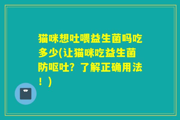 猫咪想吐喂益生菌吗吃多少(让猫咪吃益生菌防呕吐？了解正确用法！)