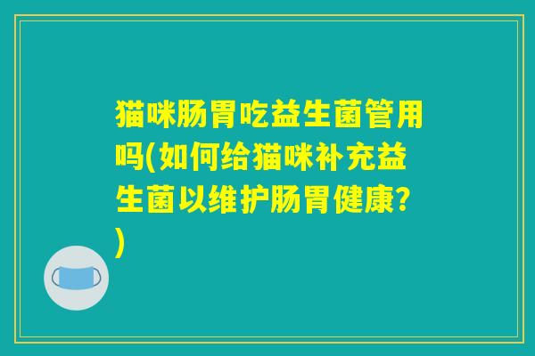 猫咪肠胃吃益生菌管用吗(如何给猫咪补充益生菌以维护肠胃健康？)