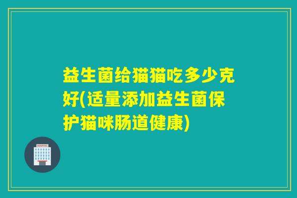 益生菌给猫猫吃多少克好(适量添加益生菌保护猫咪肠道健康)