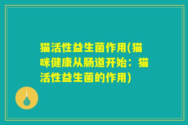 猫活性益生菌作用(猫咪健康从肠道开始：猫活性益生菌的作用)