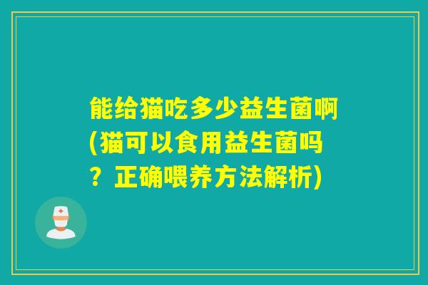 能给猫吃多少益生菌啊(猫可以食用益生菌吗？正确喂养方法解析)