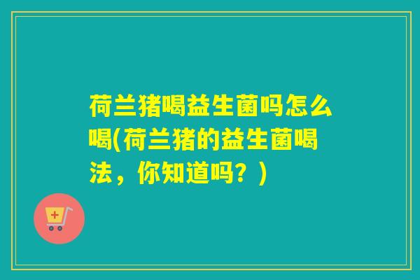 荷兰猪喝益生菌吗怎么喝(荷兰猪的益生菌喝法，你知道吗？)