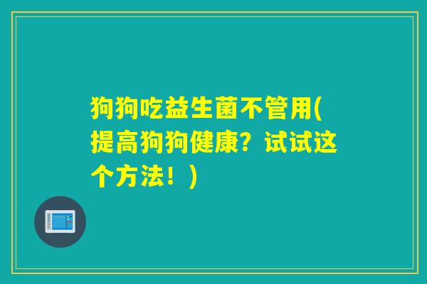 狗狗吃益生菌不管用(提高狗狗健康？试试这个方法！)