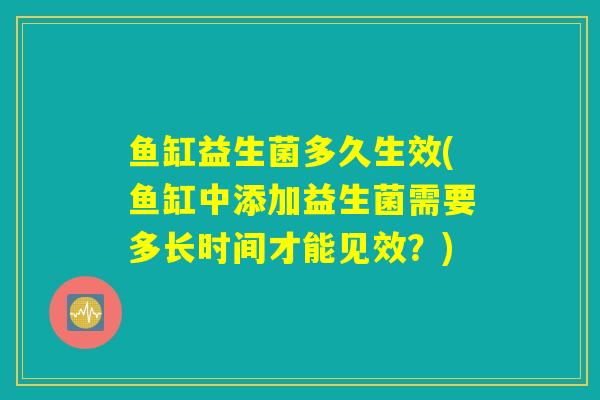 鱼缸益生菌多久生效(鱼缸中添加益生菌需要多长时间才能见效？)