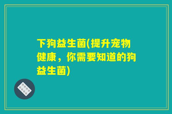 下狗益生菌(提升宠物健康，你需要知道的狗益生菌)