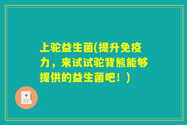 上驼益生菌(提升免疫力，来试试驼背熊能够提供的益生菌吧！)