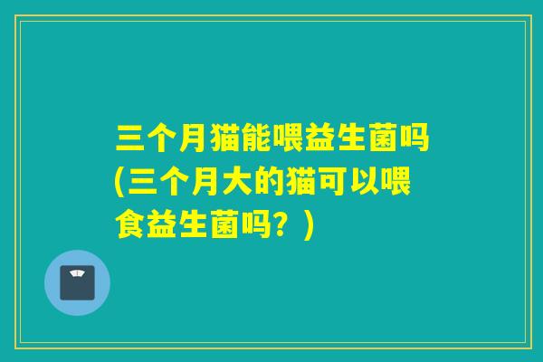 三个月猫能喂益生菌吗(三个月大的猫可以喂食益生菌吗？)