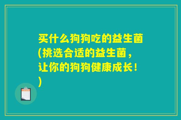 买什么狗狗吃的益生菌(挑选合适的益生菌，让你的狗狗健康成长！)