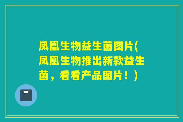 凤凰生物益生菌图片(凤凰生物推出新款益生菌，看看产品图片！)