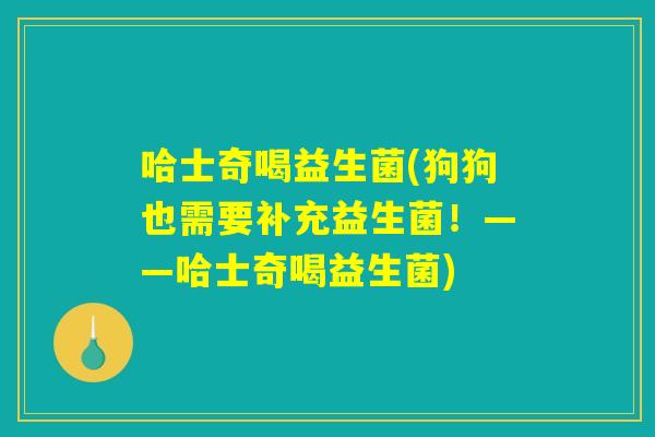 哈士奇喝益生菌(狗狗也需要补充益生菌！——哈士奇喝益生菌)